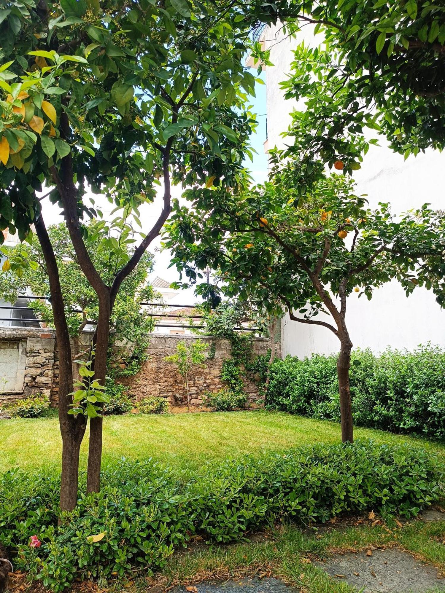 Vila Betty'S Garden House Néa Ankhíalos Exteriér fotografie