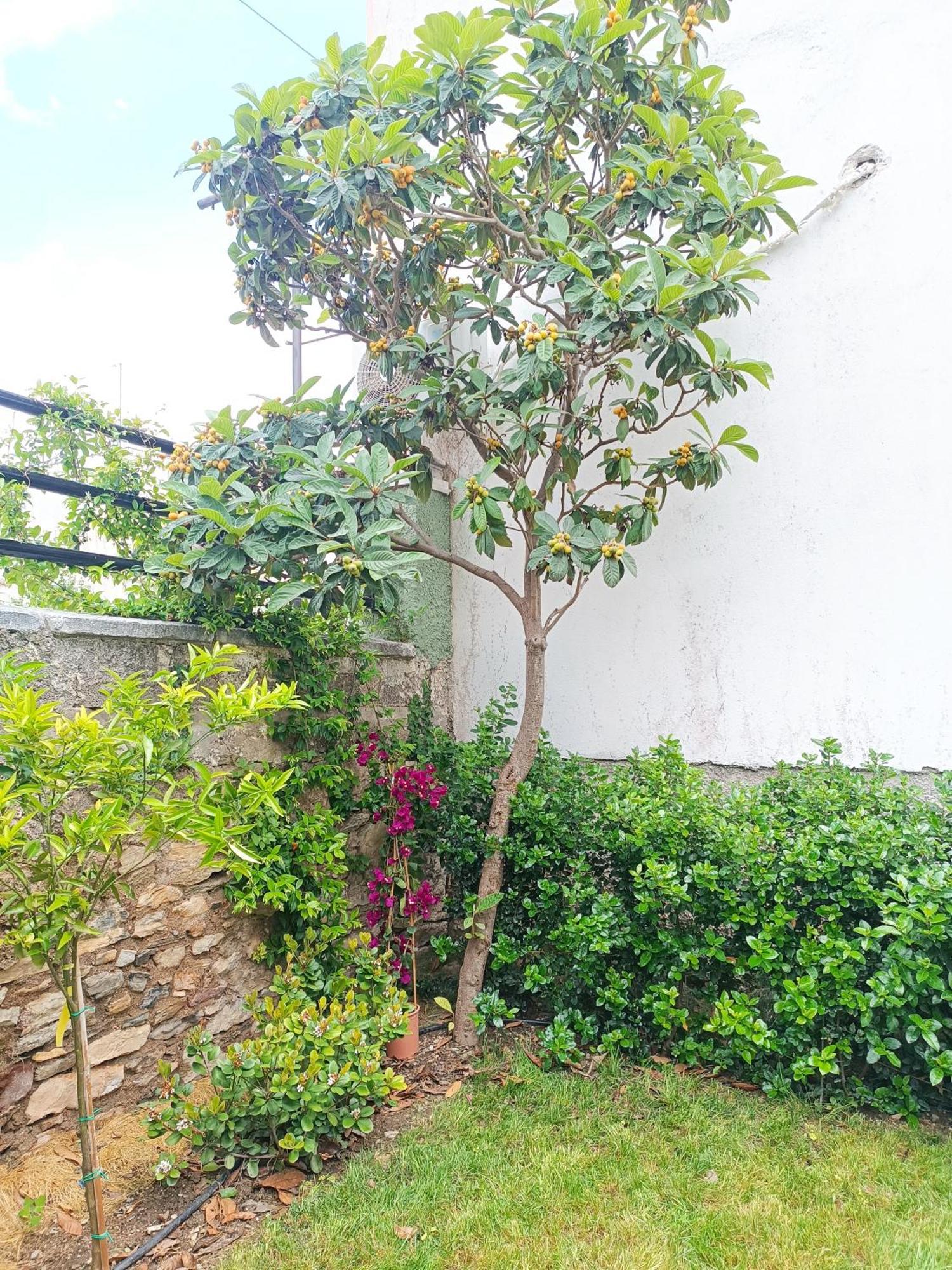 Vila Betty'S Garden House Néa Ankhíalos Pokoj fotografie