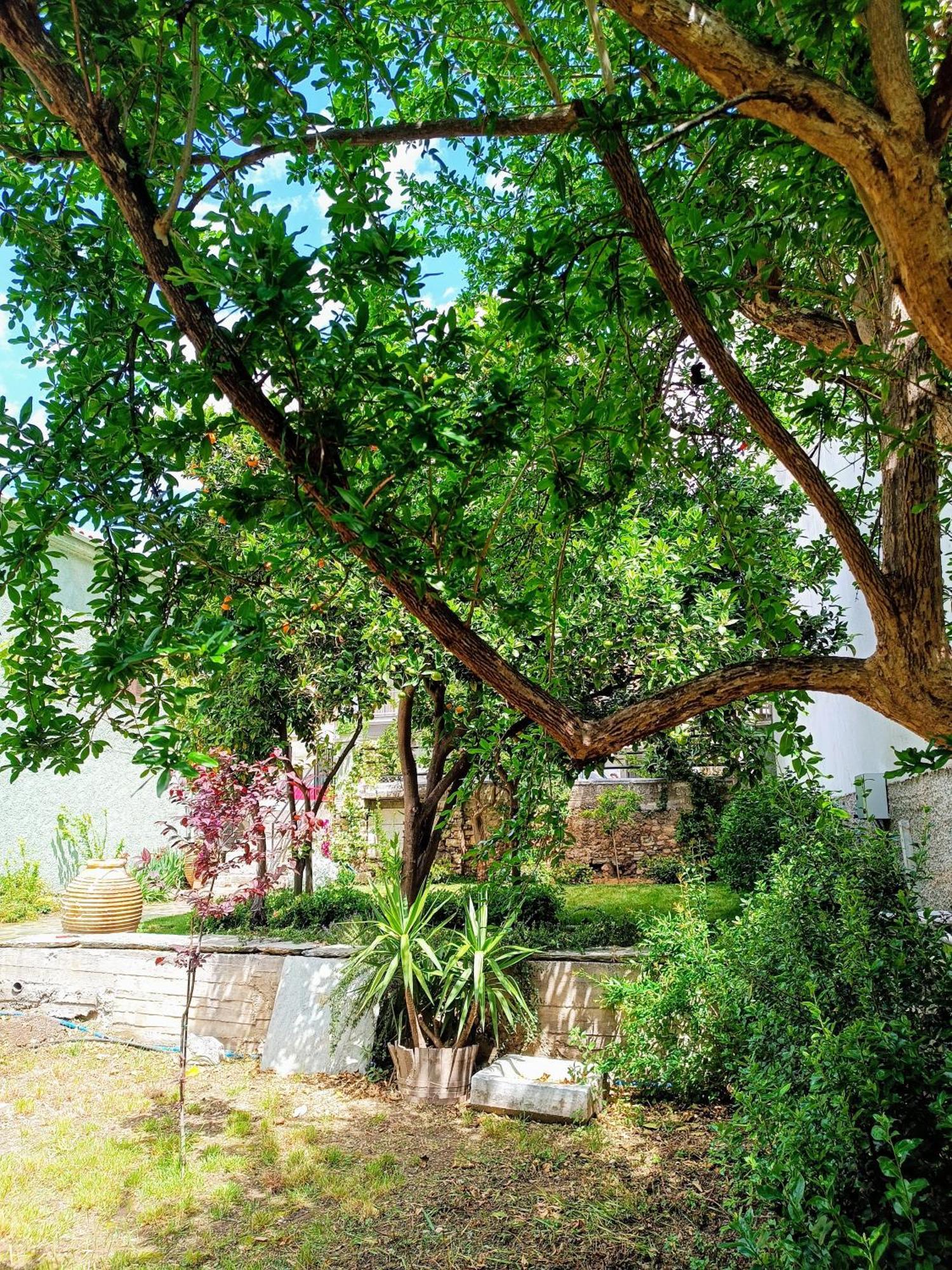 Vila Betty'S Garden House Néa Ankhíalos Pokoj fotografie
